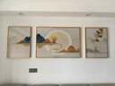 诗六艺家饰客厅装饰画北欧现代简约沙发背景墙挂画三联画大气轻奢壁画晶瓷画 福禄生财（铝合金外框） 晶瓷画左右50*70+中间100*70亮面 实拍图