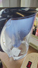 碧然德（BRITA）过滤净水器 滤水壶 海洋系列 3.5L(蓝色）+去水垢专家版滤芯11枚 环保加固包装 实拍图
