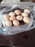谷物鲜鸡蛋 农户散养新鲜鸡蛋 单枚50g±5 10枚（50克/枚） 实拍图