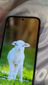 荣耀X70 12+512 幻夜黑  金标十面抗摔 80W无线超级快充 IP69防水 荣耀绿洲护眼屏 AI手机 国家补贴 实拍图