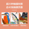 亮丽精美触摸书系列点读版（全4册）小兔比利仿真触摸书幼儿启蒙早教书 【0-2岁】低幼认知绘本 乐乐趣童书  图书开学季    图书开工开学季 实拍图