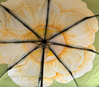 蕉下（beneunder）防紫外线遮阳伞三折双层黑胶晴雨伞防晒伞BM664月雾 实拍图