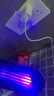 纽曼（Newmine）苹果充电器安卓手机5V/2.1A快速电源适配器通用苹果iPhone14/SE2/13/iPad平板耳机等 LC203 白 实拍图