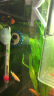 SUNSUN森森鱼缸水族箱加热棒100W自动恒温乌龟缸鱼缸加温棒加热器 实拍图
