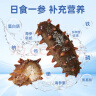 辽参 大连冷冻海参1斤10-12只 有机辽参 固形物85% 非即食 送礼滋补 实拍图
