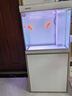 森森（SUNSUN）鱼缸水族箱含鱼缸过滤器灯大型金鱼缸 珍珠白 时尚款0.6米长34.6cm宽底滤 带棉+滤材 实拍图