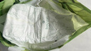 家得宝（homebaby）拉拉裤 蚕丝蛋白婴儿尿不湿花苞裤男女宝宝超薄透气学步裤 拉拉裤XXL码32片 11-15kg 实拍图