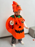 甜蜜点万圣节服装儿童男女孩cosplay服饰装扮南瓜服披风演出道具装饰 实拍图