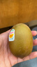 佳沛（zespri）新西兰  阳光金奇异果18粒礼盒优选果单果约101-124g 猕猴桃水果 实拍图
