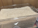 佳帮手米桶密封装米容器家用防虫防潮米缸大米收纳盒米箱面粉储存罐10斤 实拍图