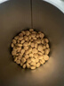 皇家皇家狗粮 成犬狗粮 犬粮 通用犬型 CC 通用粮 ≥12月 8KG 实拍图
