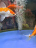 森森（SUNSUN）鱼缸增氧泵水族箱氧气泵家用小型充氧泵 【二代更静】4W双孔+全套配件 实拍图