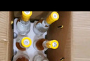 景芝 白乾老字号 高度白酒 52度500ml*6瓶 整箱装 实拍图