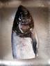 鲜喜爱 冷冻千岛湖有机鲢鱼头1.5斤 白鲢鱼头  生鲜鱼类 海鲜水产 实拍图