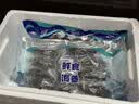 天吉岛大连即食海参底播固形物80%辽参冷链直达送长辈商务滋补佳品礼物 500g【21-27只】个头小数量多经济划算 实拍图