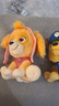 汪汪队立大功（PAW PATROL）毛绒玩偶男孩女孩生日礼物玩具经典款天天公仔小号15.2CM 实拍图
