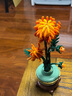 乐高（LEGO）积木拼装10368 黄金菊男孩女孩玩具生日礼物 实拍图
