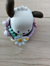 名创优品（MINISO）帕恰狗花与少年系列盲盒摆件手办玩具生日礼物男女送礼 端盒 实拍图