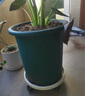 爱丽思花盆塑料深型树脂花盆特大号多肉花盆种花种菜盆爱丽丝 12号深绿 实拍图