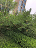 HTWRO德国品牌浇花神器洗车水枪高压水管软管自动排管家用收管器30米 晒单实拍图