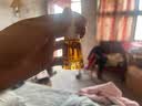 季岚朵小茶瓶精华液70ml舒缓修护泛红提亮抗氧化送男女友护肤品生日礼物 实拍图