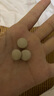 卫仕 乳钙片约160片 狗狗钙片泰迪金毛幼犬钙大型犬健骨补钙宠物补钙 实拍图