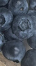 鲜级佳辽宁丹东蓝莓王【多地次日达】新鲜孕妇L25花香蓝莓礼盒怡颗蓝莓 8盒【125g/盒】品质升级-蕞划算 蓝莓王 更脆更甜【单果24mm+】 实拍图
