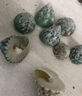 天然海螺小绿塔螺贝壳寄居蟹替换卷贝鱼鱼缸装饰造景手工摆件diy 小绿塔2-4cm【3个装】 实际发货数量以规格为准 实拍图