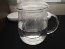 Glasslock 玻璃茶杯男女士专用茶水分离泡茶耐高温杯子过滤花茶杯500ml 实拍图