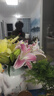 悦多彩AB级优质香水百合 家庭办公室各色生活鲜花 昆明基地 现采直发 黄色百合10朵（双头5枝） 实拍图