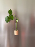 范爷家实木磁吸花瓶冰箱贴试管插花器ins风创意装饰壁挂墙面水养绿植 实拍图
