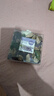 宜婴新梦想家全包臀小内裤2XL34片拉拉裤超薄【品牌直供 安心品质】 实拍图