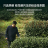 卢正浩绿茶龙字西湖龙井茶特级50g2025新茶明前冷泡茶叶满觉陇罐装送礼 实拍图