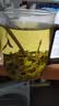 象窝山绿茶甘醇绿茶150g绿茶叶高山老树茶浓香型茶叶2026新茶自己喝泡茶 实拍图