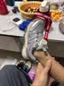 Dickies儿童运动鞋秋冬男女童旋钮扣户外防滑轻便网面跑步鞋登山鞋 实拍图