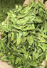 第一江南绿茶龙井特级250g2025新茶明前茶叶礼盒装春茶嫩芽高端送礼品 实拍图