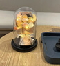 铂呐苓永生花装饰摆件生日纪念520礼物女生母亲节送妈妈仿真鲜花假花束 粉白大号玫瑰花束【9朵玻璃罩】 实拍图