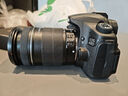 佳能/CANON  80D 60D 70D 77D 50D 90D 半画幅 二手单反相机 佳能60D 18-135 IS 99新 实拍图
