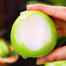 广西脆蜜青枣牛奶枣非苹果枣新鲜水果整箱包邮京东快递 带箱4斤单果60-80g 实拍图
