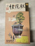 知味观绿豆糕桂花味 中华老字号 杭州特产 饼干蛋糕点心 早餐零食品190g 实拍图
