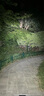 黑鸟（Blackbird） 自行车前灯德规公路山地自行车灯充电强光手电筒夜行灯骑行装备 L1 A 绑带款 400流明 实拍图