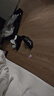 海澜之家HLA皮鞋男商务休闲男鞋正装德比鞋子HAAPXM1EBH090 黑色增高款39 实拍图