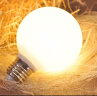 美耐普（MEINAIPU） 超亮led灯泡LED大龙珠圆泡E27螺口圆球泡高亮白光暖黄光LED灯泡 9W 【G95】直径9.5cm 暖光 实拍图