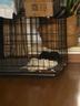 憨憨宠 狗笼猫笼 狗笼子小型犬带厕所幼犬折叠便携猫笼子宠物笼具兔笼 【精品真加粗】狗丝 60*42*52cm 实拍图