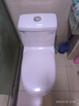 松鲸 双档节水家用坐便抽水马桶坐便器家用卫生间漩涡虹吸式防臭马桶 直冲式【直冲式 大冲力】 400mm 实拍图