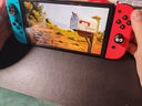Nintendo Switch【国家补贴15%】任天堂 掌上游戏机 OLED主机 日版红蓝 便携家用体感掌机聚会生日礼物 实拍图