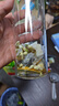 忆江南水果茶 青提茉莉茶2盒200g荔枝葡萄汁冲泡饮品冻干果茶冷泡茶 实拍图