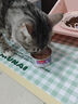 顽皮（Wanpy）三文鱼猫罐头80g*24罐（汤汁型）出口级 猫咪零食happy100果饭儿 实拍图
