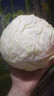 山东新鲜甘蓝包菜卷心菜新鲜嫩绿莲花白现摘现发来京东买菜 新鲜包菜 1.5-2斤 人工挑拣 实拍图