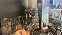 BANDAI SDEX BB战士 自由高达拼装模型 sdex敢达 男孩机甲玩具礼物 SDEX OO高达 实拍图